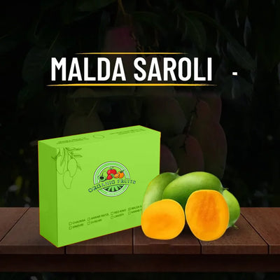 Malda Saroli