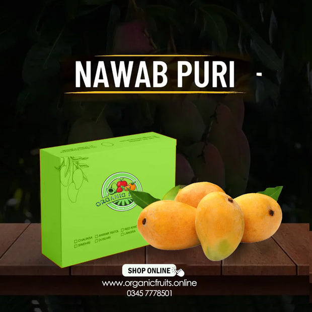 Nawab Puri